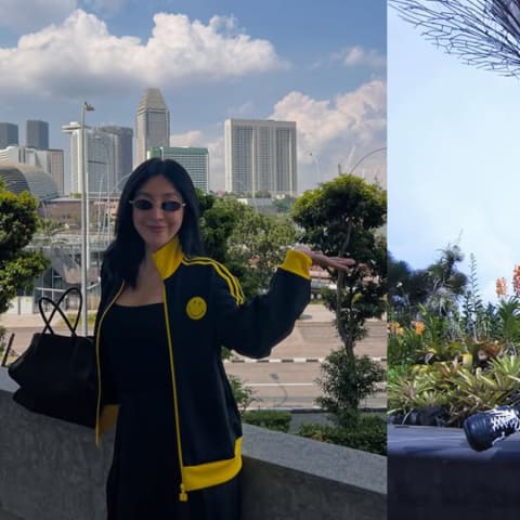 杨谨华、白敬亭惊艳现身时尚活动，游客坡趴趴走引围观