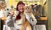 This Sengkang home cafe with its very own Totoro cat is brewing comfort, one cup at a time