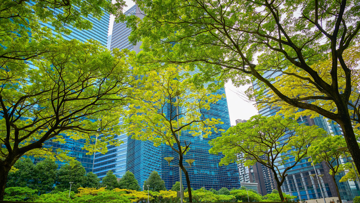 Navigating climate risks in a carbon-constrained world