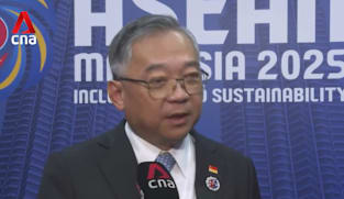 Singapore revisiting 'tri-national' economic corridor with Johor and the Riau Islands 