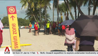 Sentosa to introduce 10 cooling rest stops by 2030 to help visitors beat the heat
