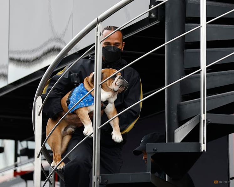 Hamilton pulls out of F1 tyre test to be with ailing dog
