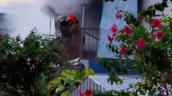 Related article image