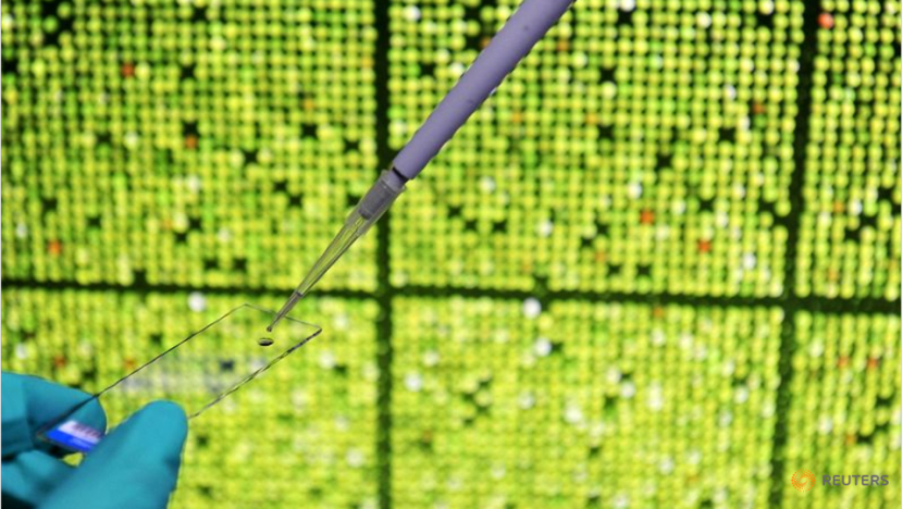 So near, yet so far: Aspiring parents and their embryos separated by the pandemic