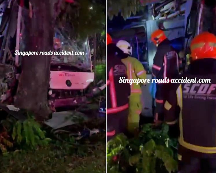 54-year-old SBS Transit driver dies after crashing empty bus into tree near Hougang bus depot