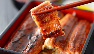 Commentary: Seafood mislabelling keeps diners in murky waters