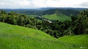 Australian rainforests no longer a carbon sink: Study