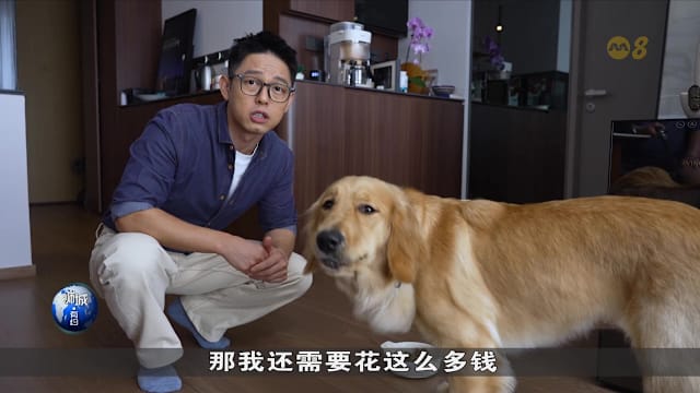 狮城有约 | 狗粮越贵越好？