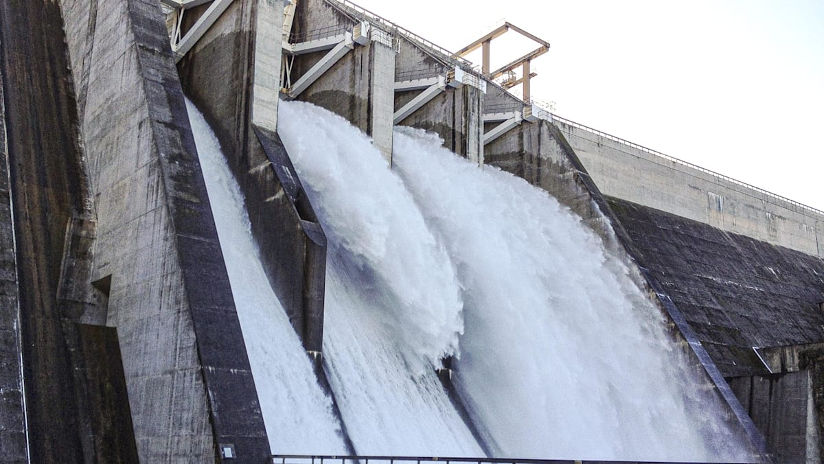 Singapore, Chile and New Zealand to begin negotiations for green economy agreement