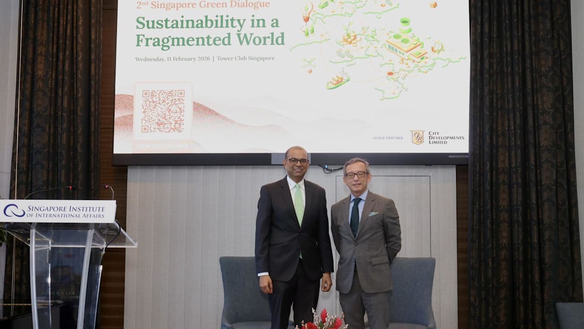 Singapore's climate strategy 'playbook' remains the same in a fragmented world: Janil Puthucheary