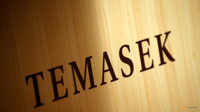 Temasek aims to invest up to US$10 billion in India as China weighs Temasek aims to invest up to US$10 billion in India as China weighs