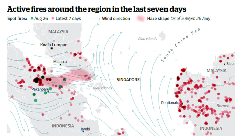 NEA relays concerns to Jakarta as air quality worsens