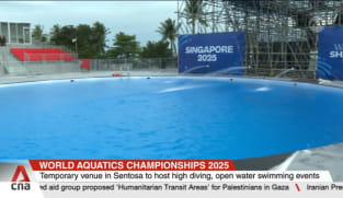 World Aquatics Championships: Temporary venue in Sentosa to host some events 