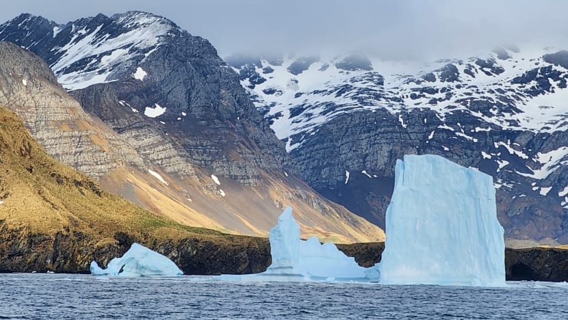 Related article image