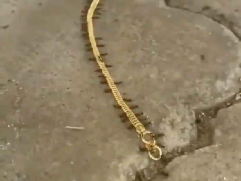 In a video that has gone viral on Twitter, a small army of ants can be seen "smuggling" a gold chain away.