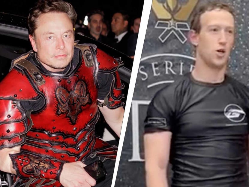Tech moguls face off: Elon Musk dares Mark Zuckerberg to fight in a cage match