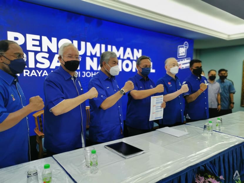 Barisan Nasional to contest all 56 seats in Johor polls, 70% of candidates are new faces 