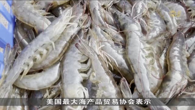 印度剥虾工人长期面临工伤 剥削及虐待风险