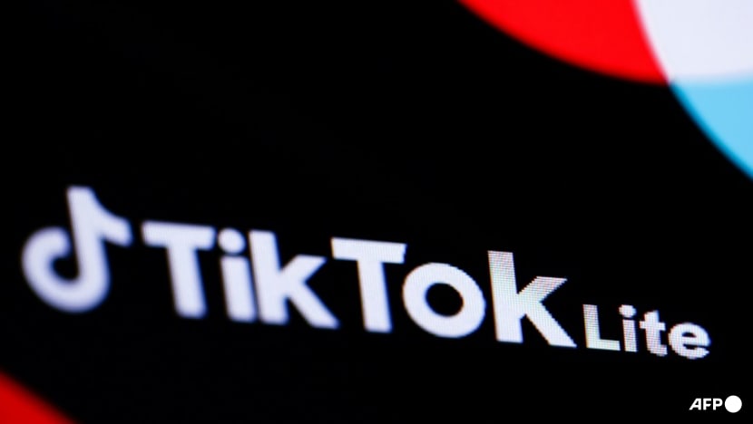 EU could suspend TikTok Lite over safety risks to children EU could suspend TikTok Lite over safety risks to children