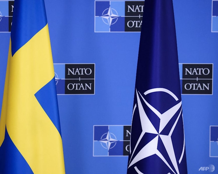 With NATO membership in mind, Sweden hands over Turkish man convicted of drug offences at home