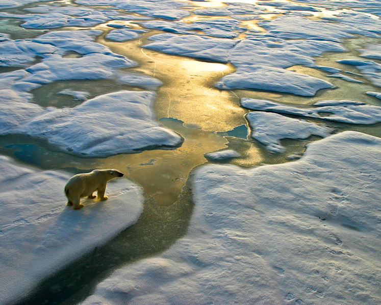 COP26: Past 7 years the hottest ever recorded, scientists say