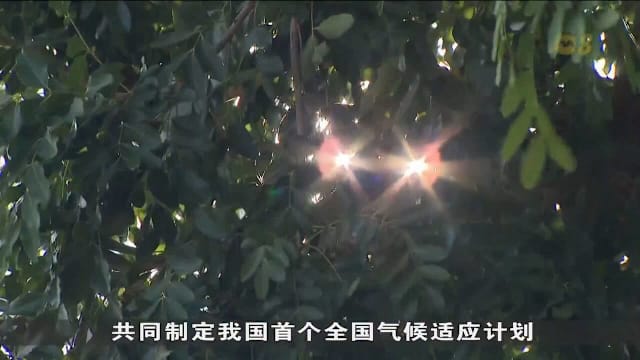 2026年定为“气候适应年” 政府呼吁全体社会采取集体行动