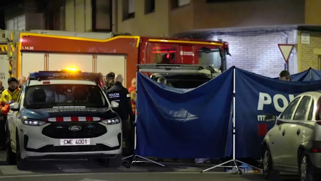 西班牙加泰罗尼亚公寓楼失火 五人丧命