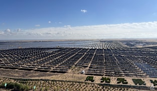 From seeding drones to solar farms: A look at China’s battle against desertification 