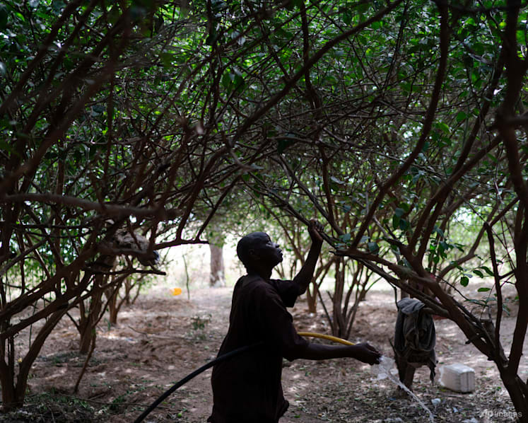 Is solar power the answer to manage Africa's water woes?