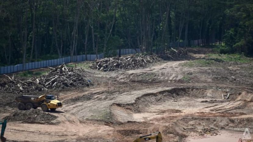 Pegawai JTC Corporation, mantan penyelia mengaku bersalah sebabkan hutan Kranji dibersihkan Pegawai JTC Corporation, mantan penyelia mengaku bersalah sebabkan hutan Kranji dibersihkan