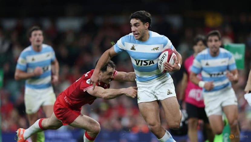Argentina snuff out Welsh hopes of debut win for new coach