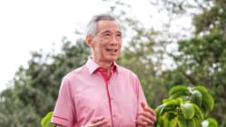 Related article image