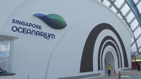 Ocenarium SG di Sentosa dibuka pada 24 Julai tahun ini 
