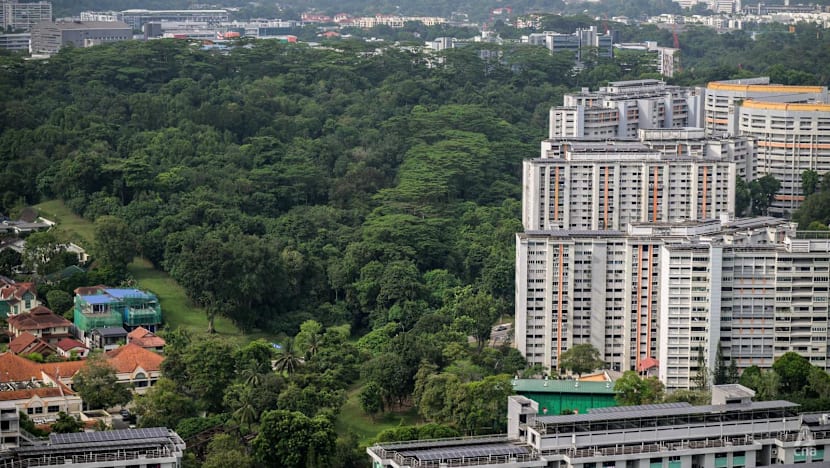 Sunset Way housing plans 'not final'; HDB says it remains open to feedback Sunset Way housing plans 'not final'; HDB says it remains open to feedback