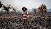 ‘Fire after fire’: What Sumatra reveals about Indonesia’s recurring haze problem