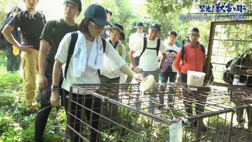 Gaia Series 115: Tension! Fight animal damage