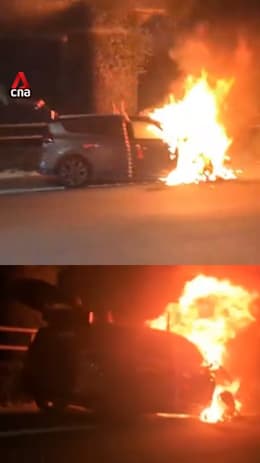 MPV catches fire along Tampines Expressway