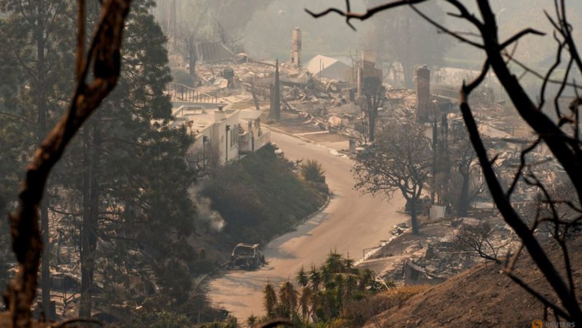See Pacific Palisades before and after the devastating Los Angeles fires See Pacific Palisades before and after the devastating Los Angeles fires