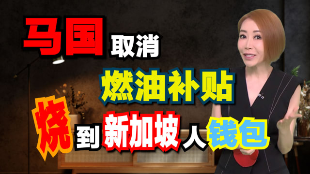 【海量说】政府给津贴    贴了谁？