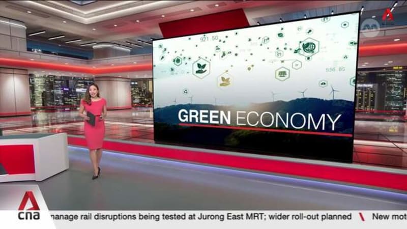 Nature-based carbon credits: Singapore to secure first carbon credits from 4 overseas projects 