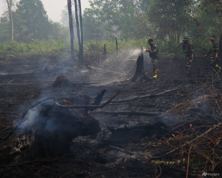 ‘Not as easy as one might imagine’: Poor visibility, wild animals hamper firefighting in Indonesia