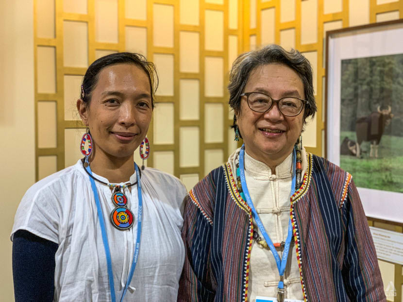 From Philippines to COP26: Mother and daughter unite to fight for Indigenous people’s climate change rights From Philippines to COP26: Mother and daughter unite to fight for Indigenous people’s climate change rights