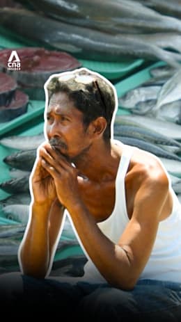 Why fish is getting harder to find in parts of the Philippines