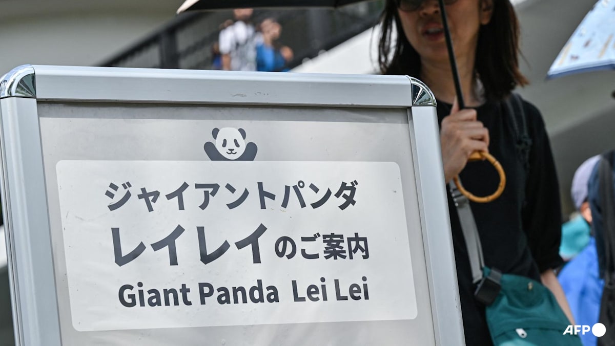 Japan's only two pandas to be sent back to China: Reports