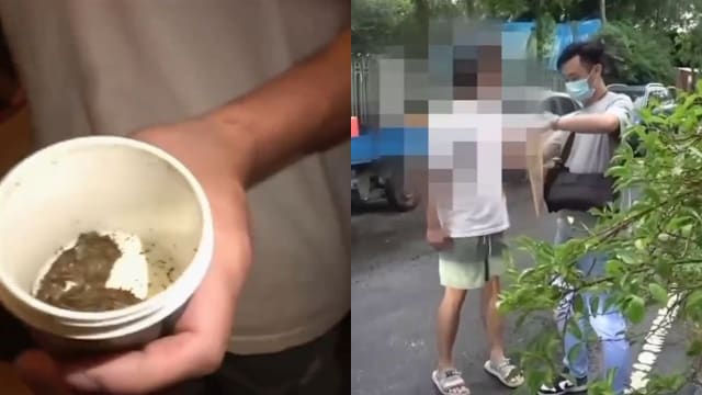 台湾南投餐馆成贩毒据点 靠暗号点餐贩卖大麻