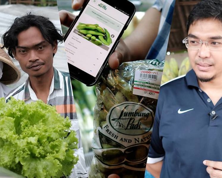 Social network founder turns champion for exploited farmers in Indonesia 