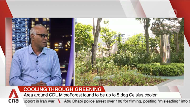 Regenerative microforest at City Square Mall found to have cooled surrounding areas