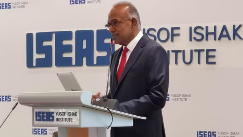 Negara kecil perlu ada kekuatan tentera, tekad sosial untuk pertahankan diri, kata Shanmugam Negara kecil perlu ada kekuatan tentera, tekad sosial untuk pertahankan diri, kata Shanmugam