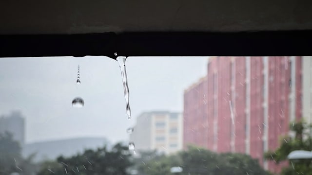 全岛下雨天气凉飕飕 纽顿一带气温降至21.1度
