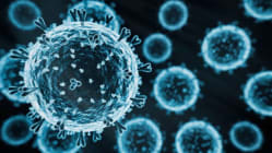 Related article image